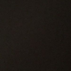 Meet your Posher, Lily